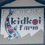 Kunjungan ke kidkoi farm di sukabumi – Indonesia.