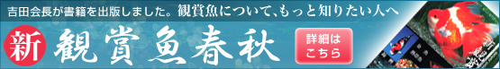 �V�E�Ϗ܋��t�H
