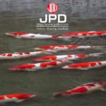 2016年11月26日