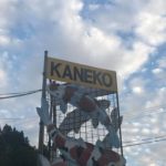 Kaneko koi farm visit.