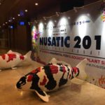 14Th All Indonesia koi Show visit.