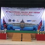 2018 2nd Myanmar Young Koi Show