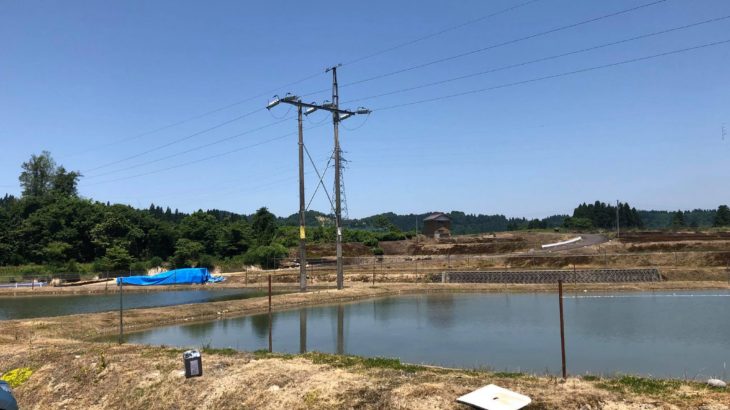 小田養鯉場 Koda koi farm visit.