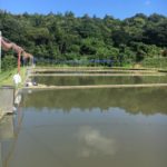 JPD dr.Shibata sakes manager Yamashita visited Oyama Fish Farm on 1 August 2018.