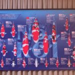 Narita Koi Farm Thank You Party on 6 October 2018.