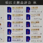 成田養魚園（株）松江立鯉品評会秋2018を11月4日開催致しました。
