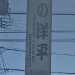 Hybrid Youhei Nishikigoi visit in Aochi prefecture on 9 January.