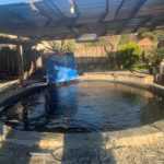 North California Koi lovers house visit 3 January 2019.