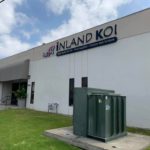 Inland Koi visit on 5 May 2019.