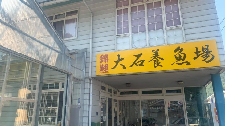 Oishi koi farm visit in Hiroshima prefecture on August 2 2019.