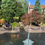 2019 ZNA Northwest Koi Show GC owners pond visit on July 28 with PS koi Russell san .
