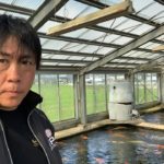 Kachi koi farm visit in Fukui prefecture on October 7 2019.