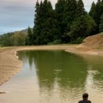 Marujyu koi farm 2 sai harvest visit on October 14 2019.