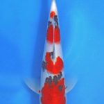 Th42 Hokkaido koi show visited on 15.May