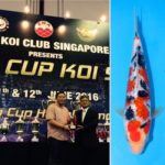 9th ASIA CUP KOI SHOW 2016