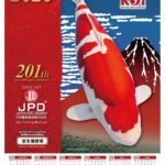 JPD sales promotion 2020
