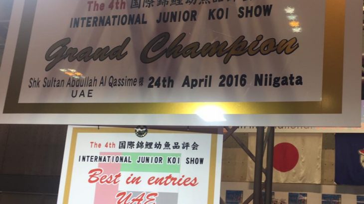 The 4Th International Junior koi show in Niigata 2016