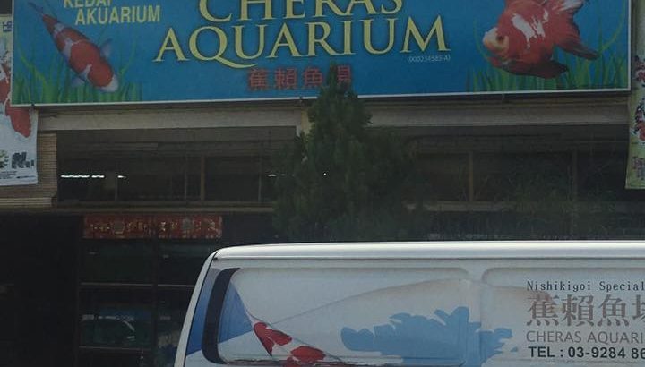 Cheras Aquarium visit.
