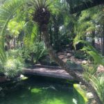Tropicana Aquatic Water Garden visit.