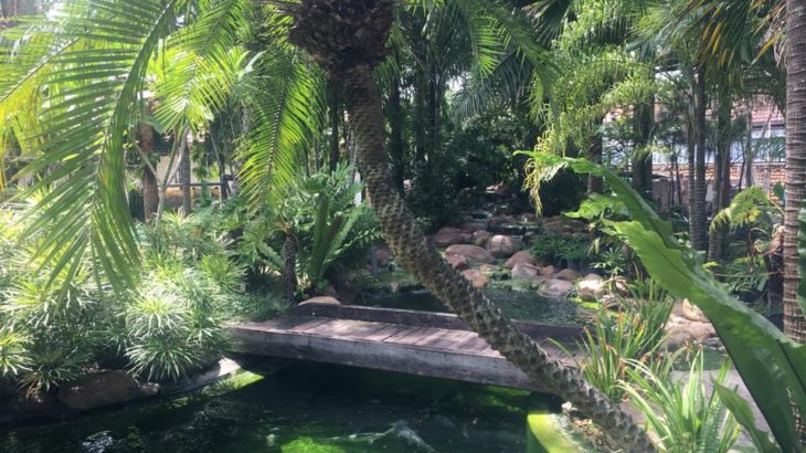 Tropicana Aquatic Water Garden visit.