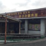 あさお観魚園 Asao koi farm