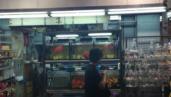 香港Hong kong Mongkok Fish street.赤燐 Sekirin is JPD Hong Kong brand.