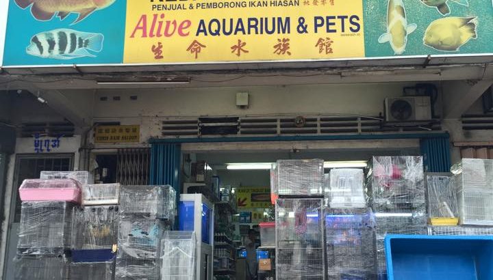 KL Aquarium shop street