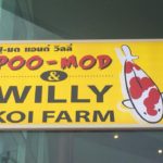Poo-Mod and willy koi farm visit