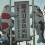 Narita Koi farm visit.