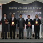 Super Young koi Show in Thailand 2016