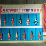 東方錦鯉訪問