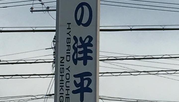 鯉の洋平訪問