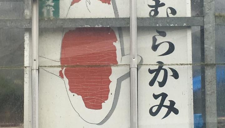 錦鯉むらかみ訪問 京都県