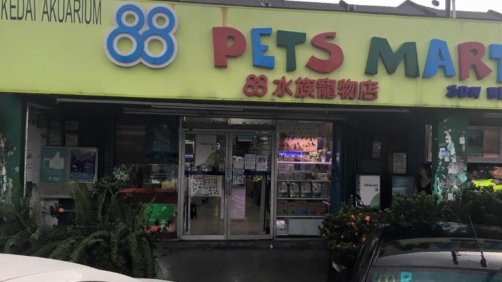 88 Pets Mart visit