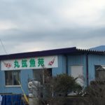 丸筑魚苑 訪問