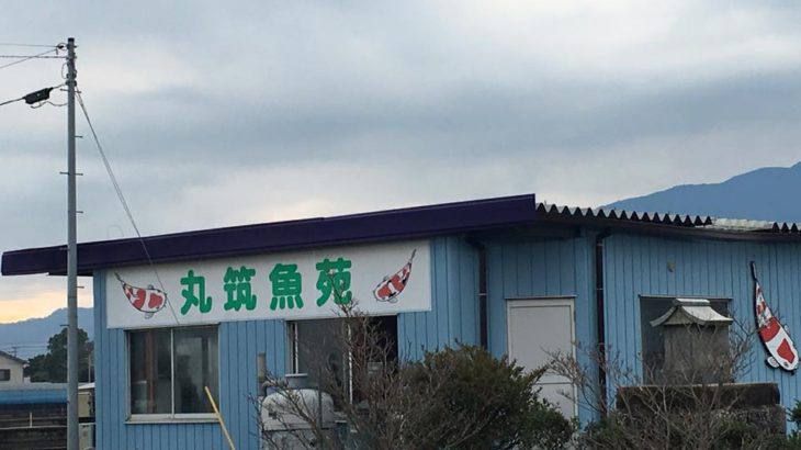 丸筑魚苑 訪問
