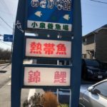 2020年　2月23日 小泉養魚場13生産者即売会