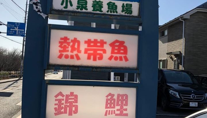 2020年　2月23日 小泉養魚場13生産者即売会