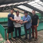Golden koi center visit in Indonesia.