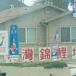 East bay koi visit in Oakland California.