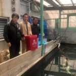 Hybrid Youhei Nishikigoi visit in Aichi prefecture.
