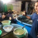 Mr.陳厚任 San thank you for your dinner last night also introduced your farm.After dinner we went to 鲤池苑錦鋰園, his farm, for Kohaku selection.