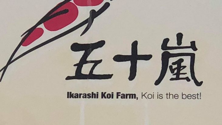 Ikarashi koi farm visit.