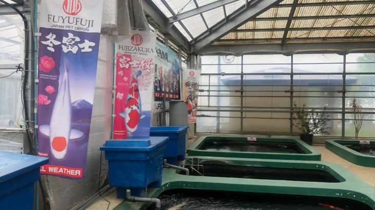 Tani fish farm visit.