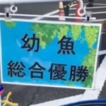 2017年　 第53回愛鱗会国際錦鯉大会受賞鯉
