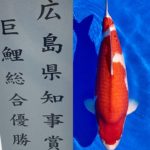 57th Horoshima koi show Nogyosai in Hiroshima