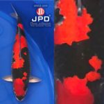 JPD photo collections
