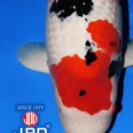 JPD photo collections