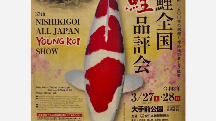 2021年3月27-28日 第37回錦鯉全国若鯉品評会品評会が開催中です。