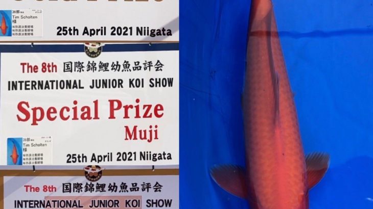 The 8th International Junior Koi show 2021 on 24-25 April